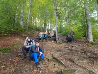 zloty lisc 2018 (28)